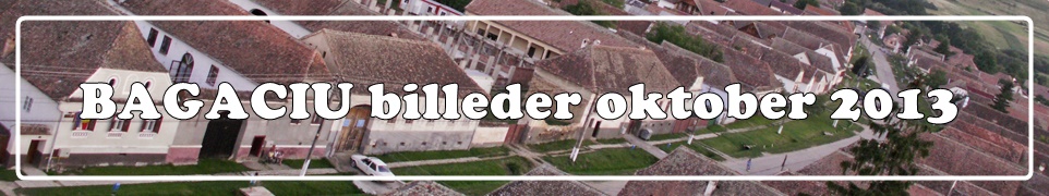 HJÆLP DE ÆLDRE I RUMÆNIEN